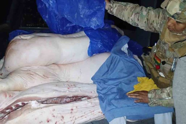 carne de contrabando