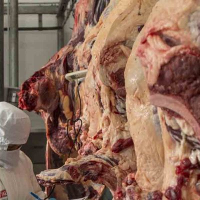 carne de res