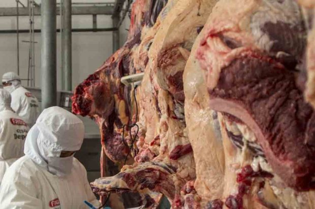 carne de res