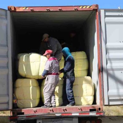 exportación carne de llama