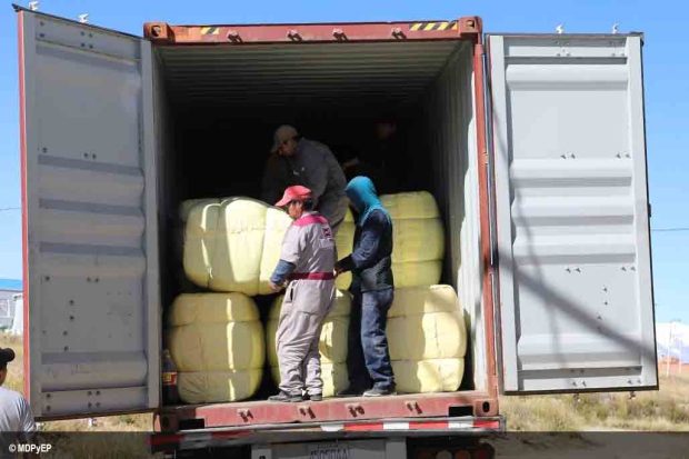 exportación carne de llama