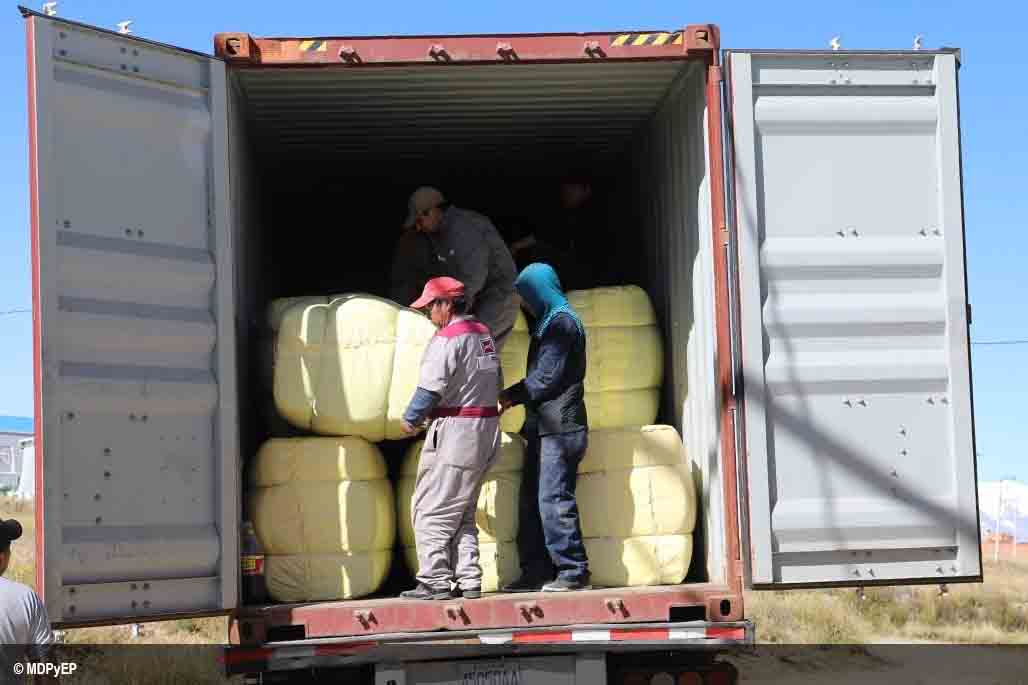 exportación carne de llama