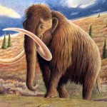 Mamut