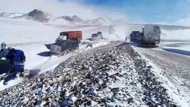 camioneros Bolivia