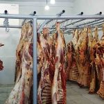 carne de res