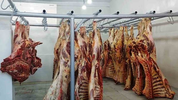 carne de res