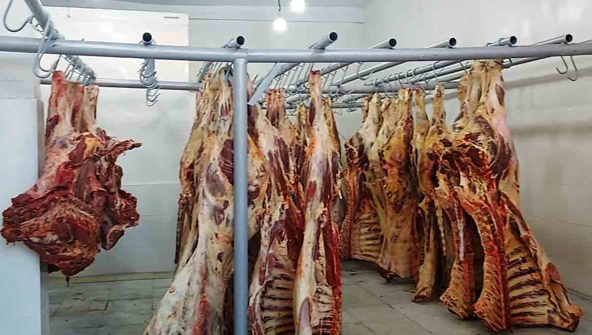 carne de res
