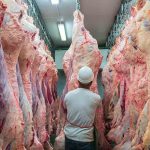 carne de exportación