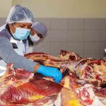 carne de res