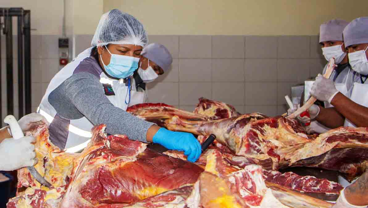 carne de res