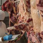 carne boliviana