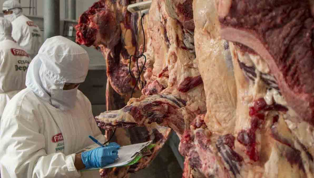 carne boliviana