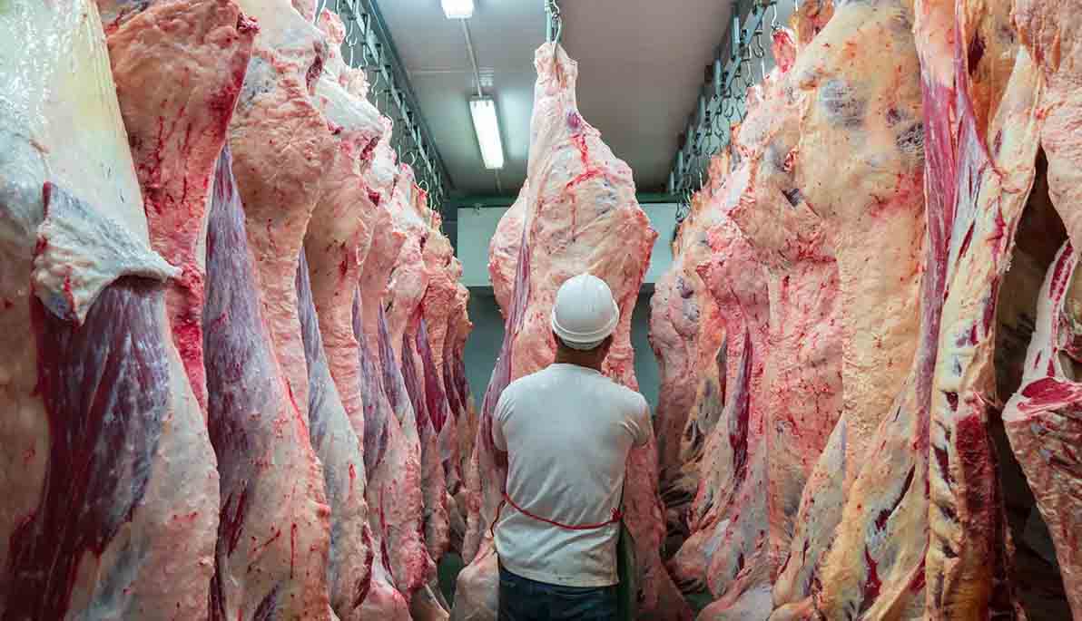 carne de exportación