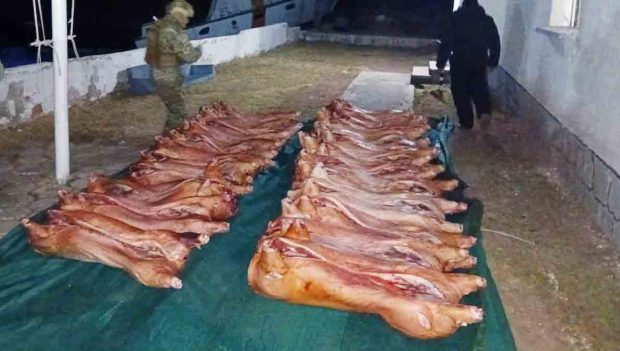 carne de cerdo