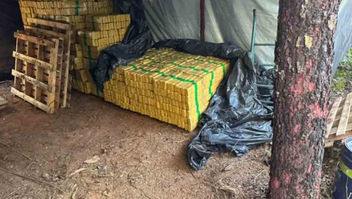 droga en Brasil