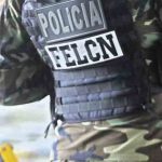Felcn