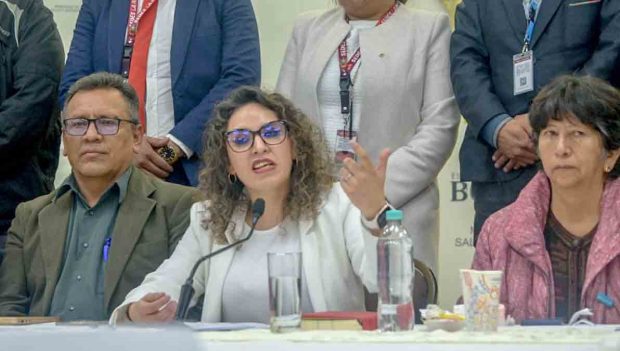 ministra de Salud