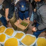 productos de abarrotes