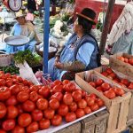 tomates