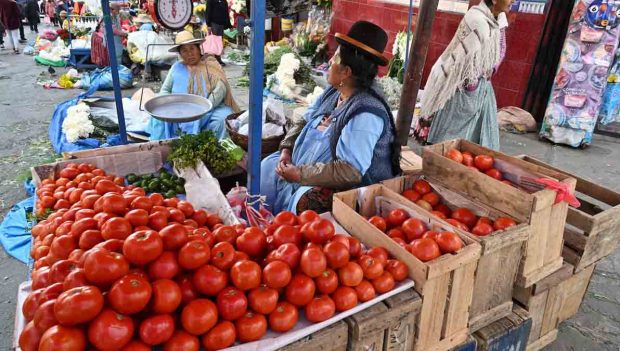 tomates