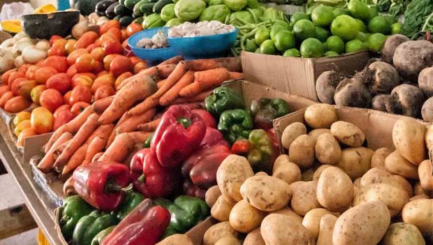 alimentos