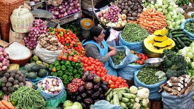 alimentos