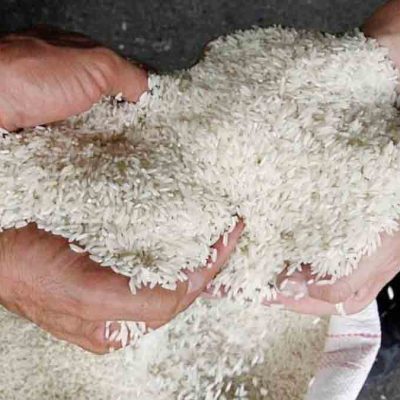 arroz