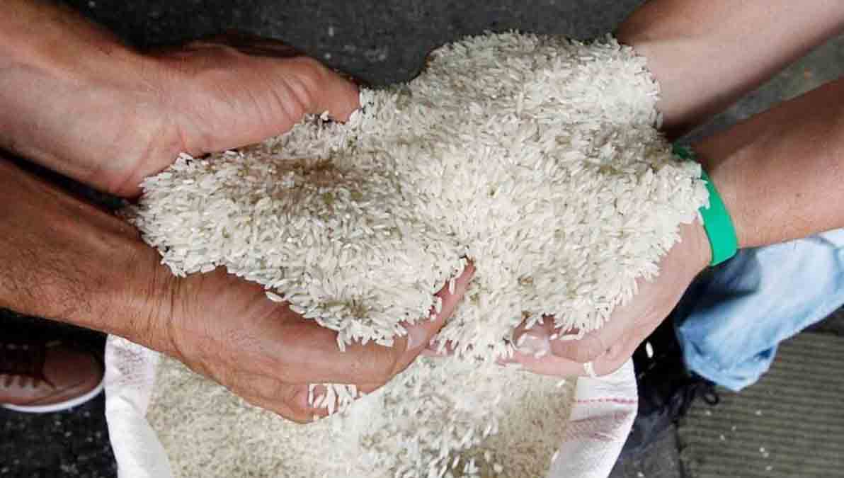 arroz
