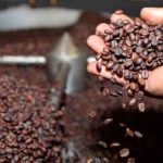 café boliviano
