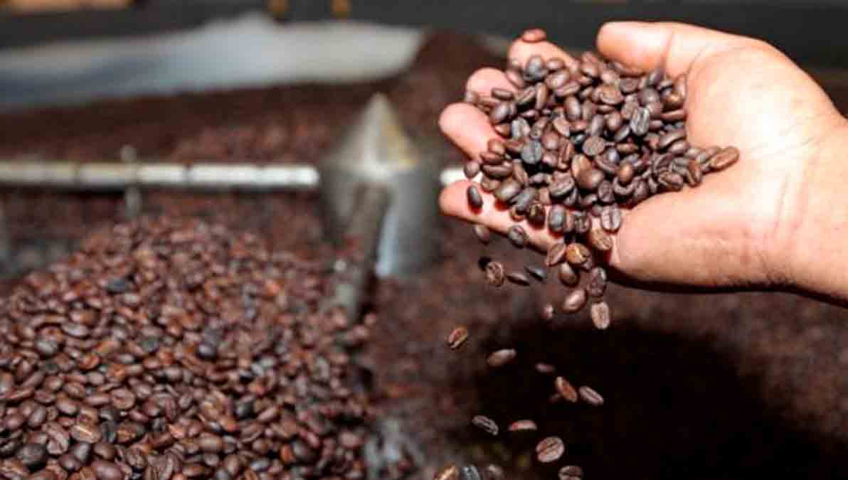café boliviano