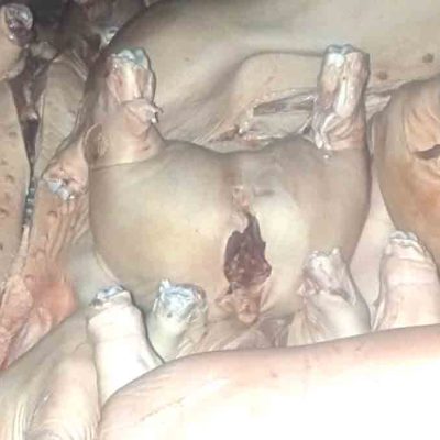 carne de cerdo incautada en La Paz