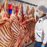 carne de res