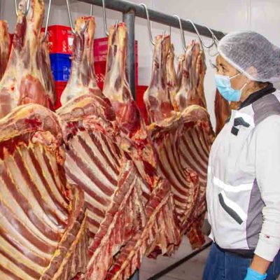 carne de res