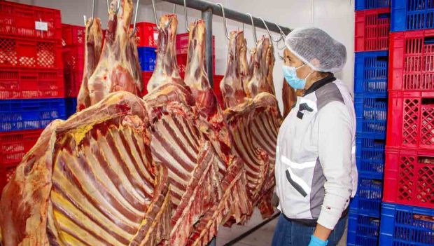 carne de res