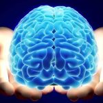 cerebro en covid
