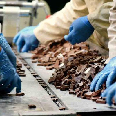 producción de cacao