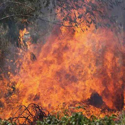 incendio forestal