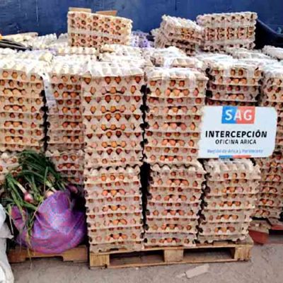 huevo decomisado en Chile