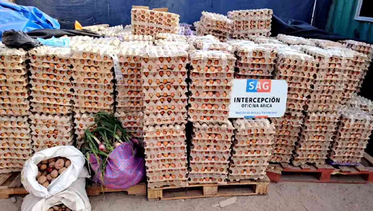 huevo decomisado en Chile