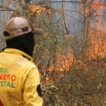 incendio forestal