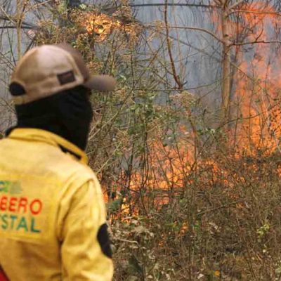 incendio forestal