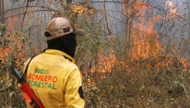incendio forestal