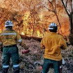 incendio forestal
