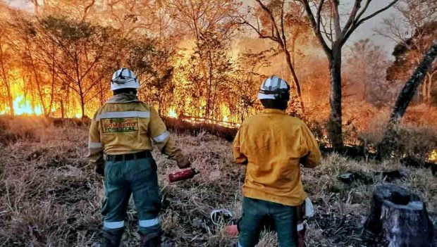 incendio forestal