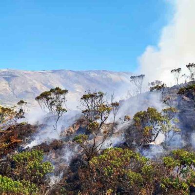incendio Parque Nacional Carrasco