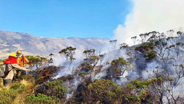 incendio Parque Nacional Carrasco