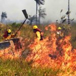 incendio forestal