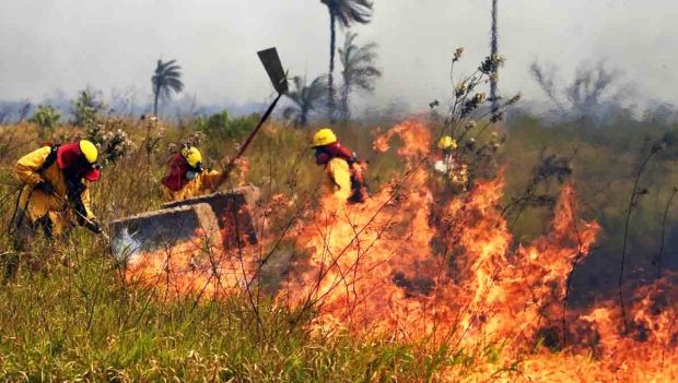 incendio forestal