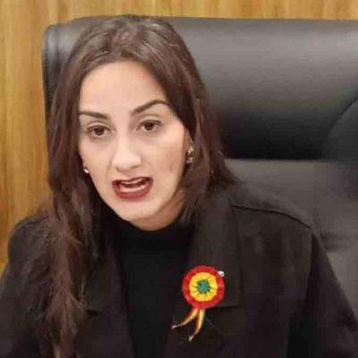 diputada Luisa Nayar