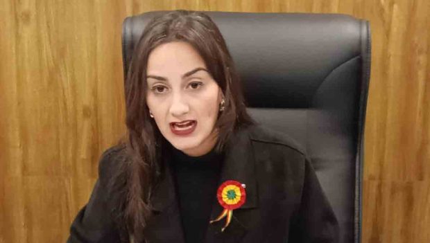 diputada Luisa Nayar